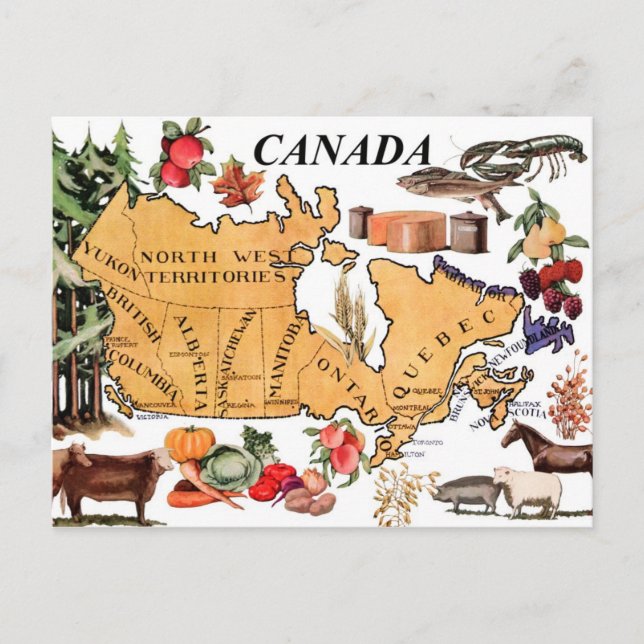 Carte du Canada et divers produits représentatifs (Devant)