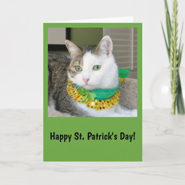 Carte du jour de St Patrick de chat (Devant)