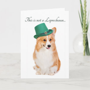 Carte du jour de St Patrick drôle de corgi