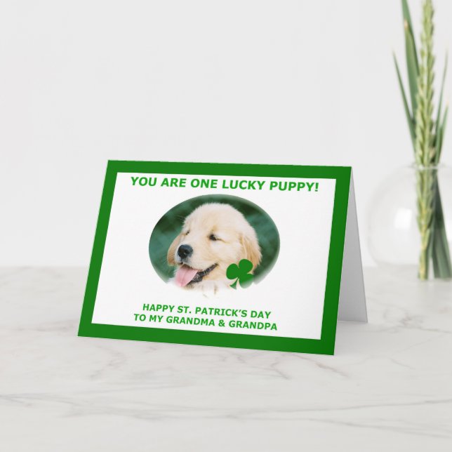 Carte du jour de St Patrick pour des (Devant)