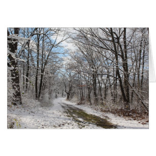 Carte du pays des merveilles d'hiver