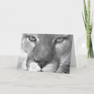 Carte du puma #1-Greeting