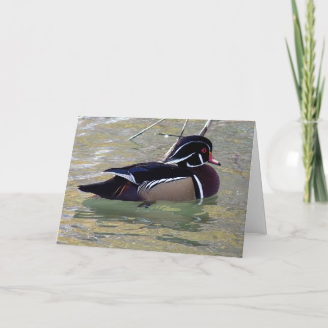 Carte Duck de bois Drake (Devant)