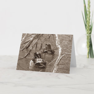 Carte Duck de bois Drake et Hen à Sepia