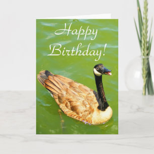 Carte Duck dit Joyeux Anniversaire !
