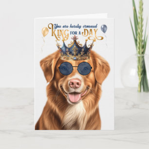 Carte Duck Tolling Retriever pour jour drôle Anniversair