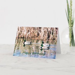 CARTE DUCKS SAUVAGES