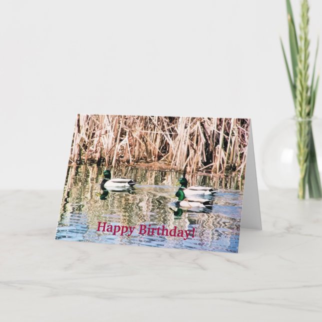 CARTE DUCKS SAUVAGES (Devant)