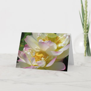 Carte Duet de la fleur de lotus