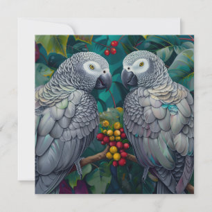 Carte Duet de Plaquemine-Baie de Grise Africaine