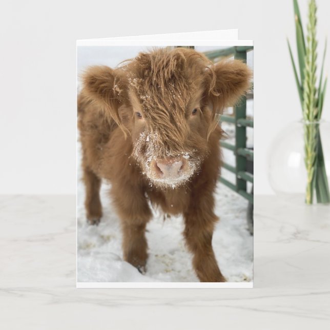 CARTE D'UNE VACHE CUTE = JOLIE ANNIVERSAIRE ! (Devant)