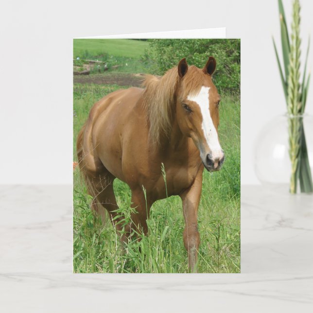Carte Dunnit, Anniversaire du cheval (Devant)