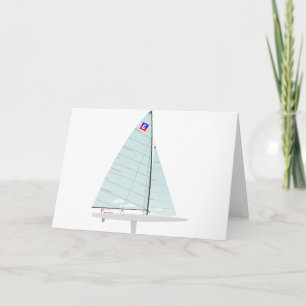 Carte E-scow Racing Sailboat onedesign Class