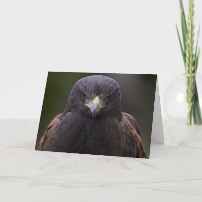 Carte Eagle d'or (Devant)