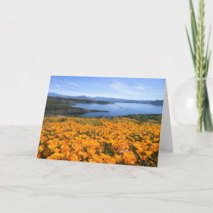 Carte Eau Lac California Avec Des Pépites D'Or