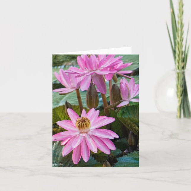 Carte Eau Lily Beauté (Devant)
