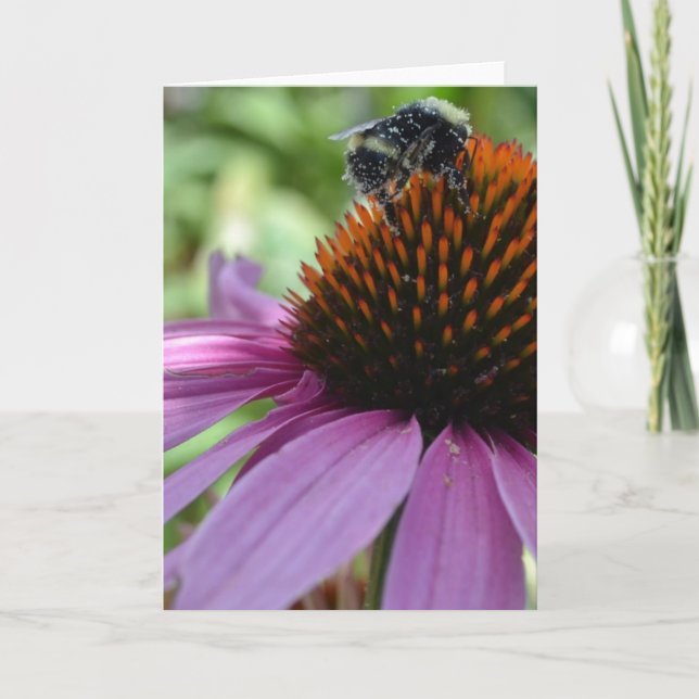 Carte Echinacée et abeille (Devant)