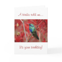 Éclat Iridescendant