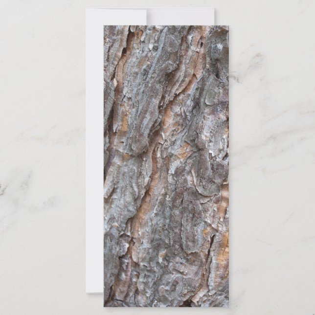 Carte écorce de pin (Devant)