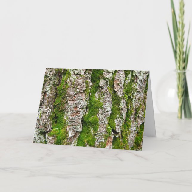 Carte Écorce De Pin Arbre Avec Mousse (Devant)