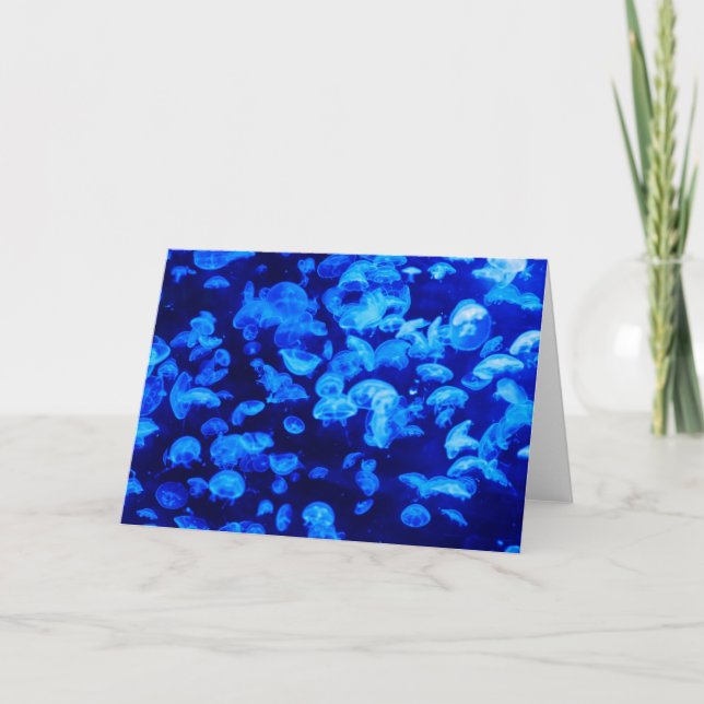 Carte Écran de méduse (Devant)