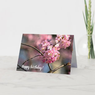 Carte Écrasement Des Brindilles Du Sakura Tree Dans Le J