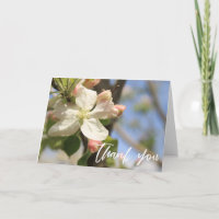 Écriture décontractée Merci Apple Blossements