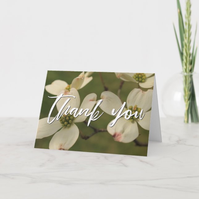 Carte Écriture décontractée Merci Dogwood Blossings (Devant)
