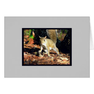 Carte - écrous obtenus ?