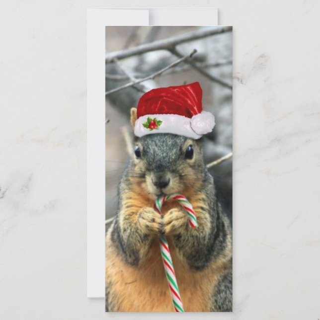 Carte Écureuil de Noël (Devant)