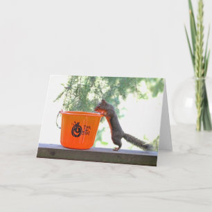 Carte Écureuil d'Halloween