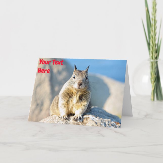 Carte Écureuil gris / gris personnalisable (Devant)