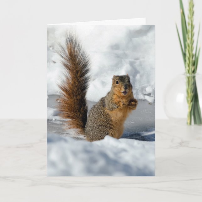 Carte Écureuil surpris (Devant)