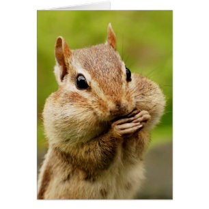 Carte effrontée de tamia