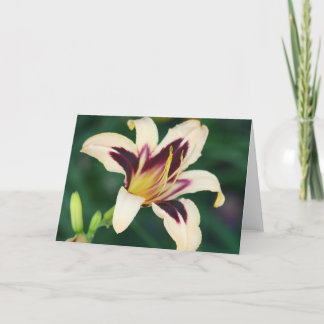 Carte Egyptien Queen de Daylily '