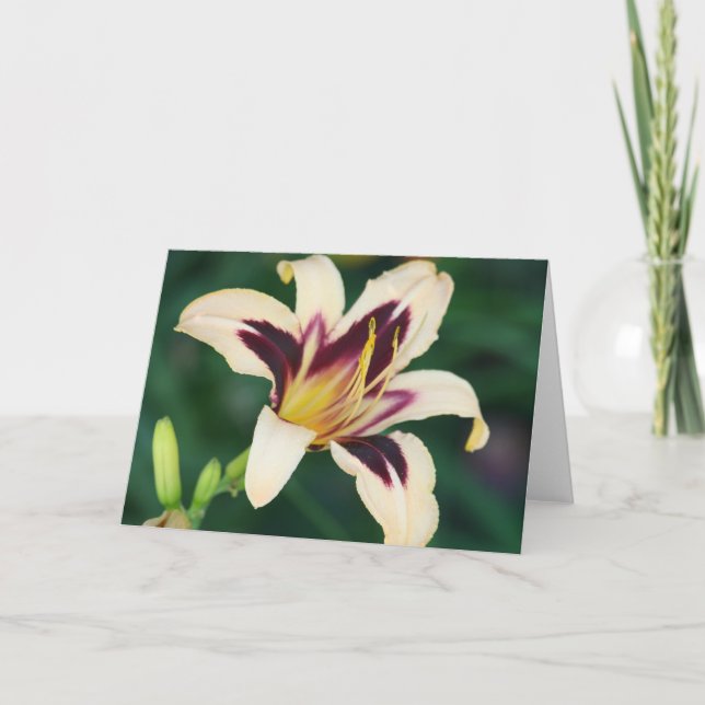 Carte Egyptien Queen de Daylily ' (Devant)