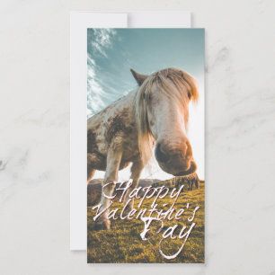Carte Einen schönen Valentinstag mit schauendem Pferd