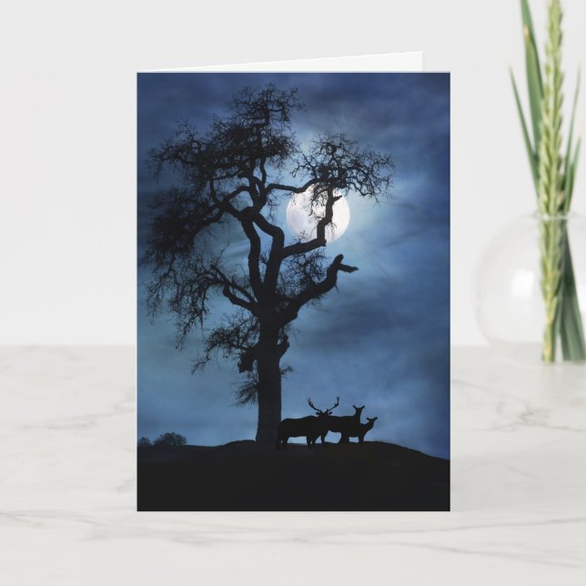 Carte Elans solstice d'hiver et arbre (Devant)
