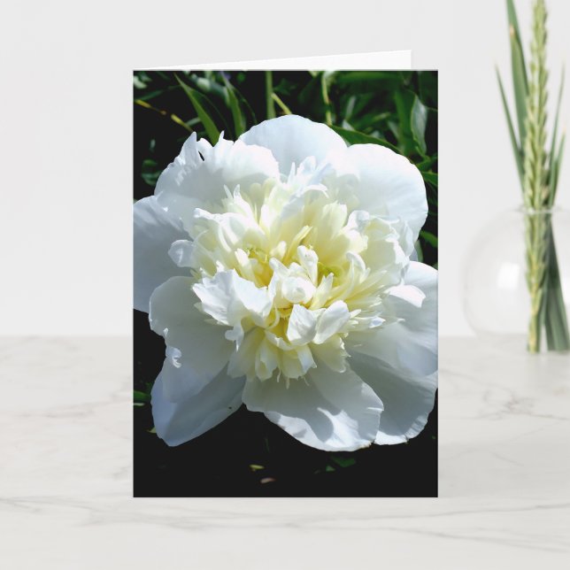 Carte Elégant blanc peony floral blanc photo (Devant)