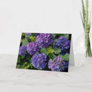 Carte Elégant bleu violet magenta vert hydrangée florale