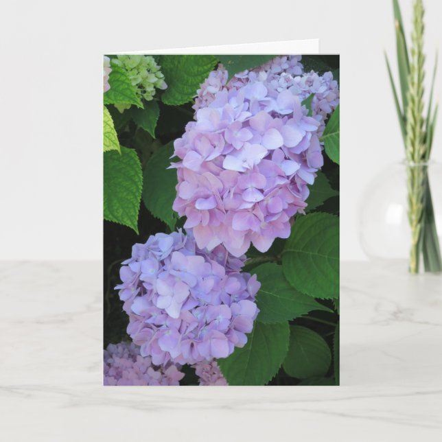 Carte Élégant Chic Purple Hydrangeas Sympathie Photo (Devant)