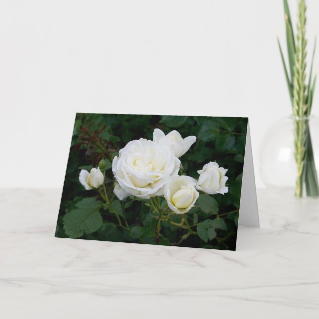 Carte Elégant Moderne Roses Blanches Fleurs Photo Sympat (Devant)