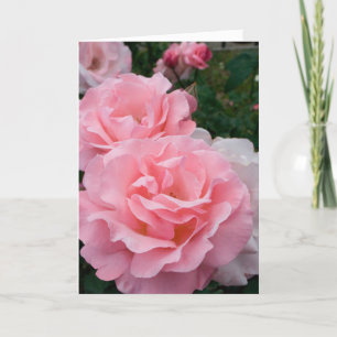 Carte Élégant Roses Roses Rose Modernes Fleurs Photo Se 