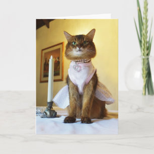 Carte Elegant Somali Cat Invitation, Party, or Greeting