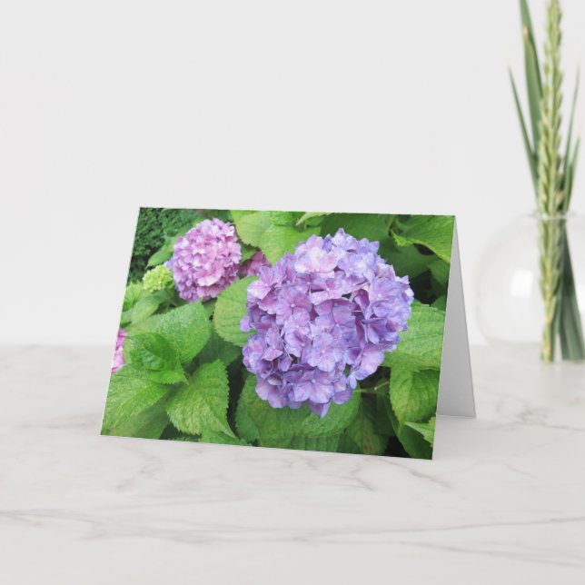 Carte Élégante Hydrangée violette moderne Sympathie phot (Devant)