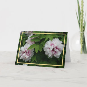 Carte Elégante Peonies Blanches Photo Cadres dorés Sympa