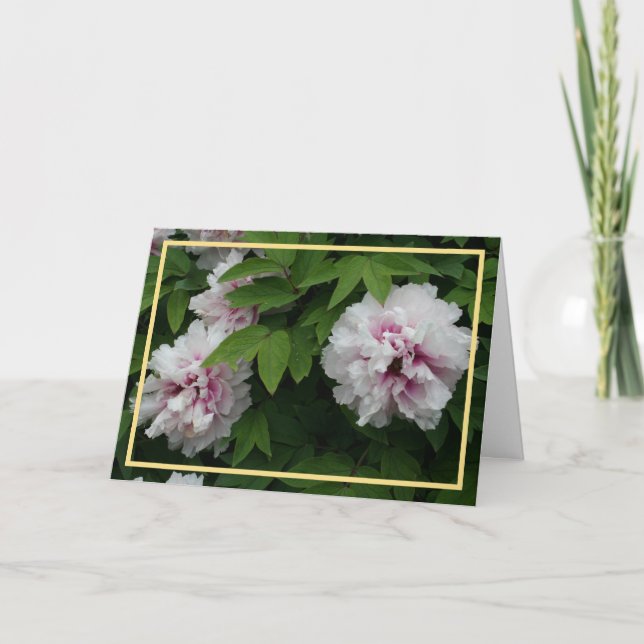 Carte Elégante Peonies Blanches Photo Cadres dorés Sympa (Devant)