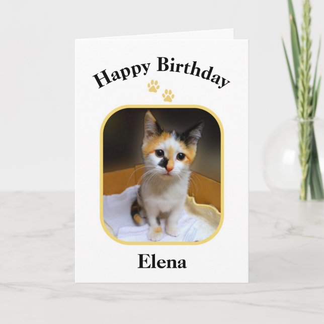 Carte Elena Calico Kitten Joyeux anniversaire (Devant)