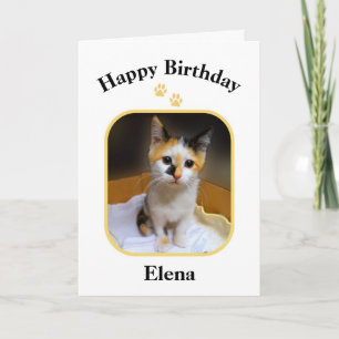 Carte Elena Calico Kitten Joyeux Anniversaire