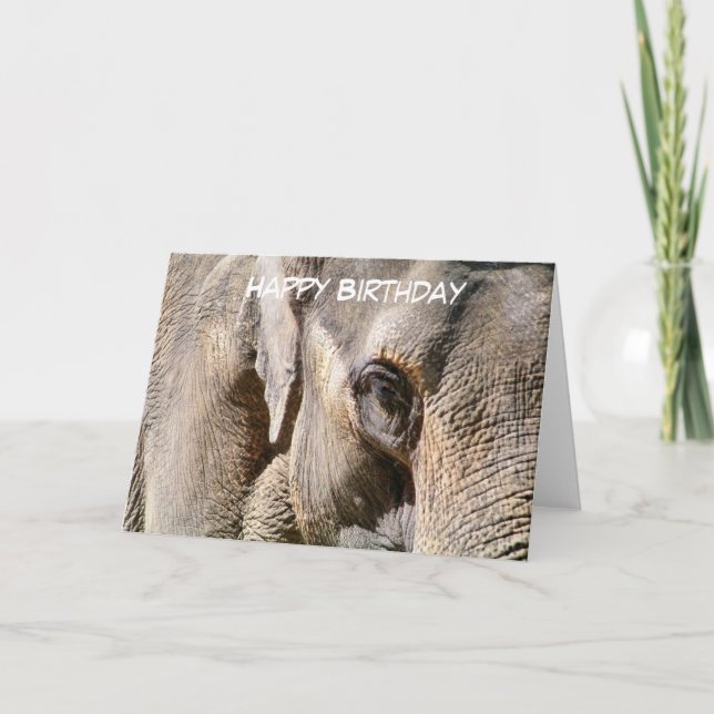 CARTE ÉLÉPHANT (Devant)